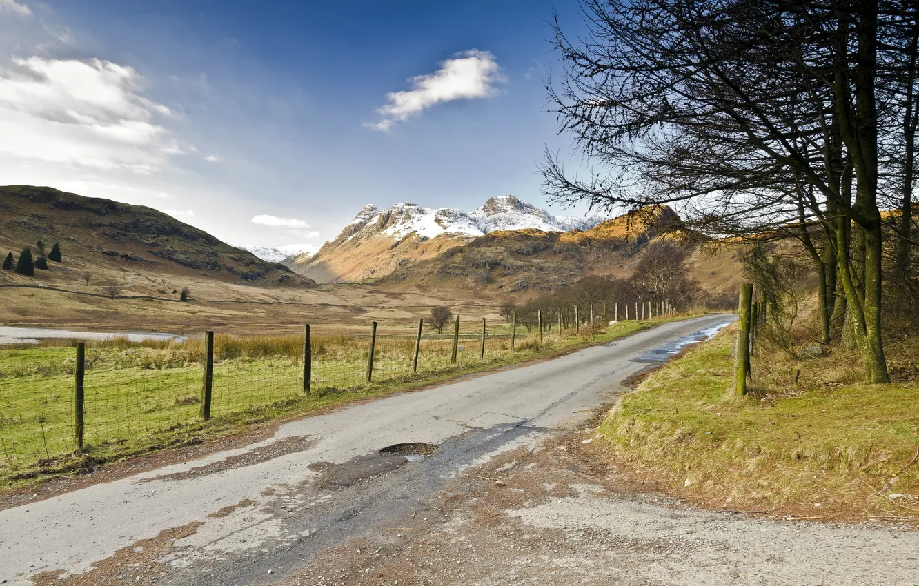 Photo wallpaper road, field, trees, landscape, the fence