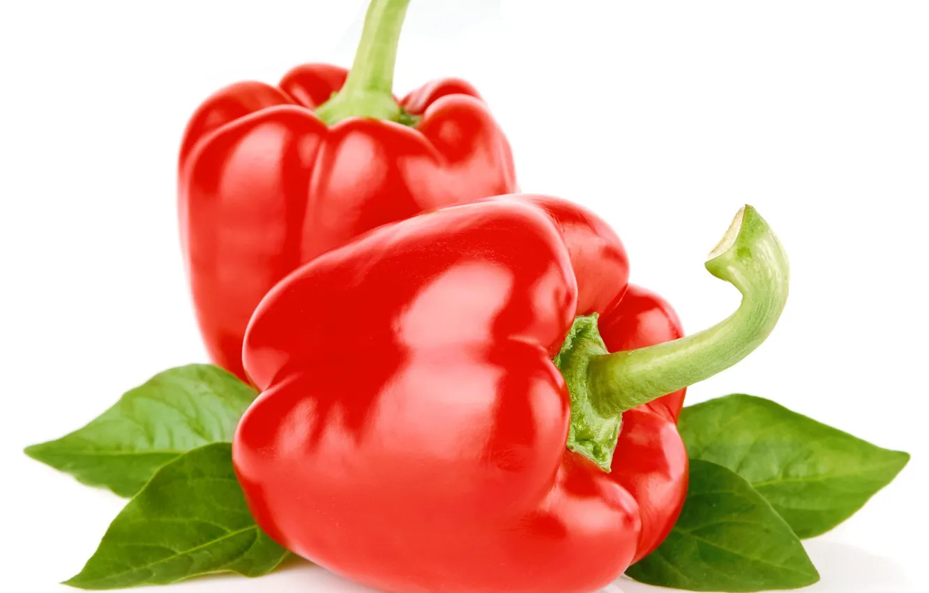 Photo wallpaper white background, pepper, bell pepper, red pepper