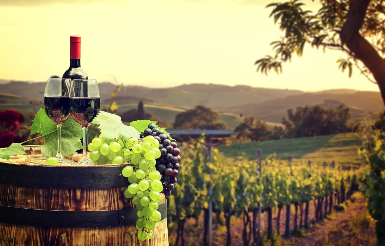 Photo wallpaper field, leaves, landscape, red, green, wine, bottle, glasses
