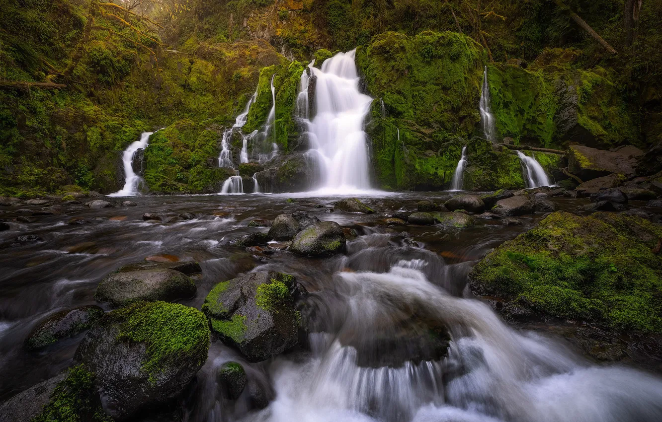 Photo wallpaper forest, river, stones, waterfall, moss, cascade, Columbia River Gorge, Washington State