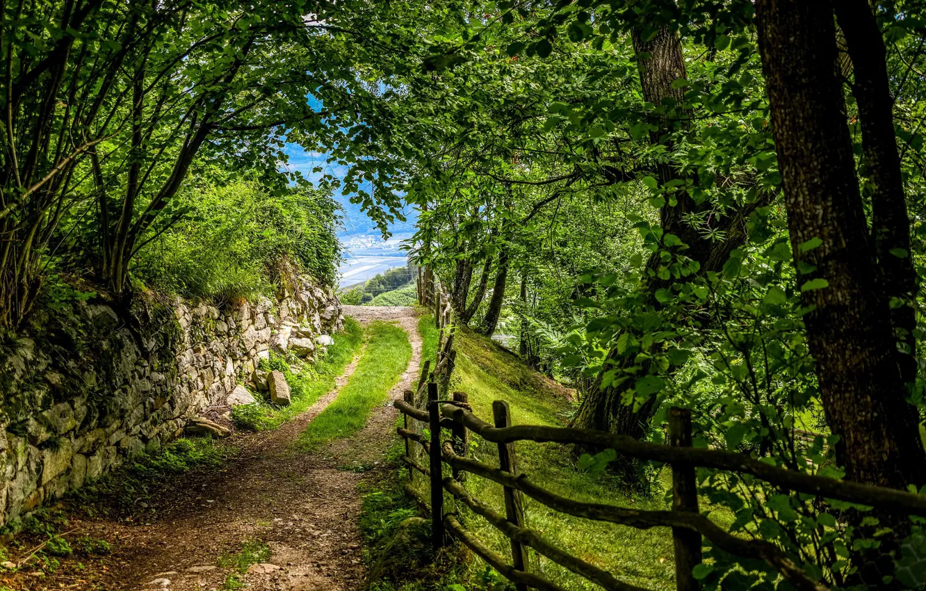 Photo wallpaper road, summer, the sky, trees, nature, the fence