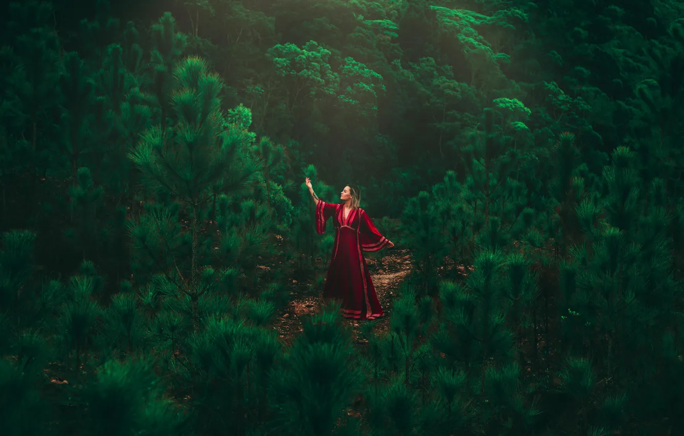 Photo wallpaper girl, forest, dress, model