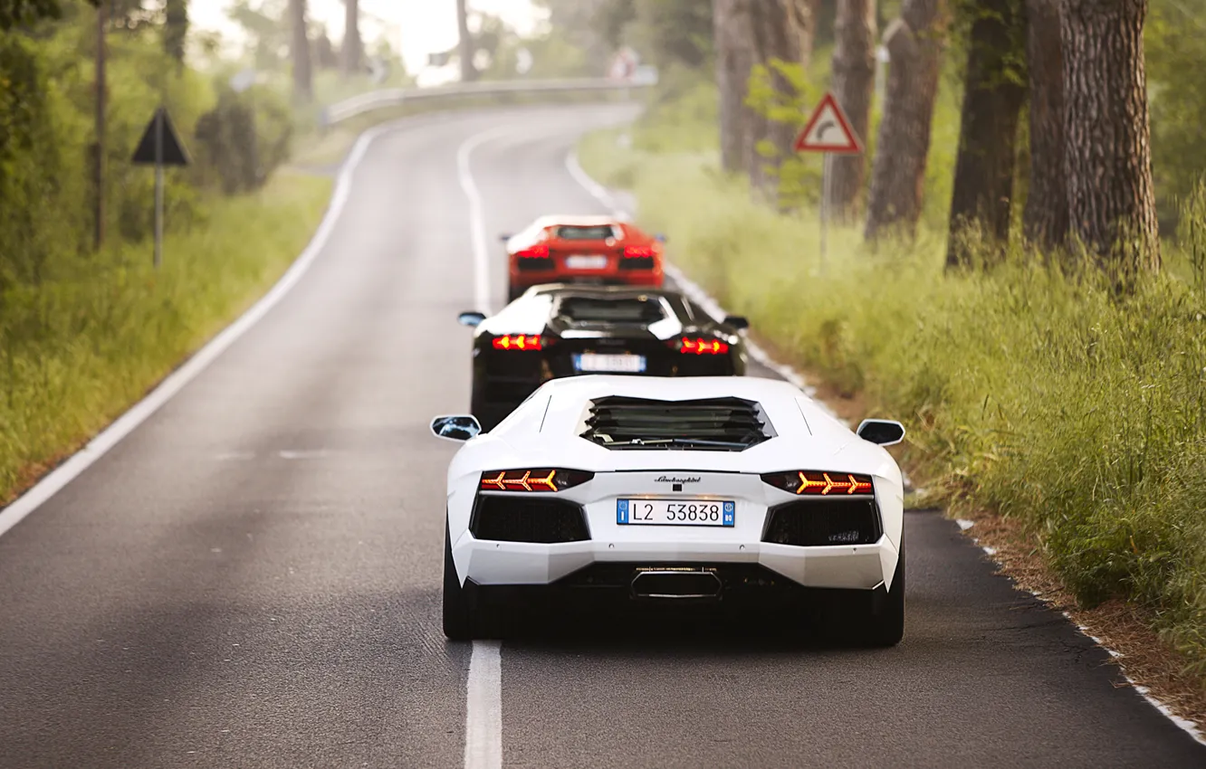 Photo wallpaper red, white, black, road, trees, three, lp700-4, Lamborghini Aventador