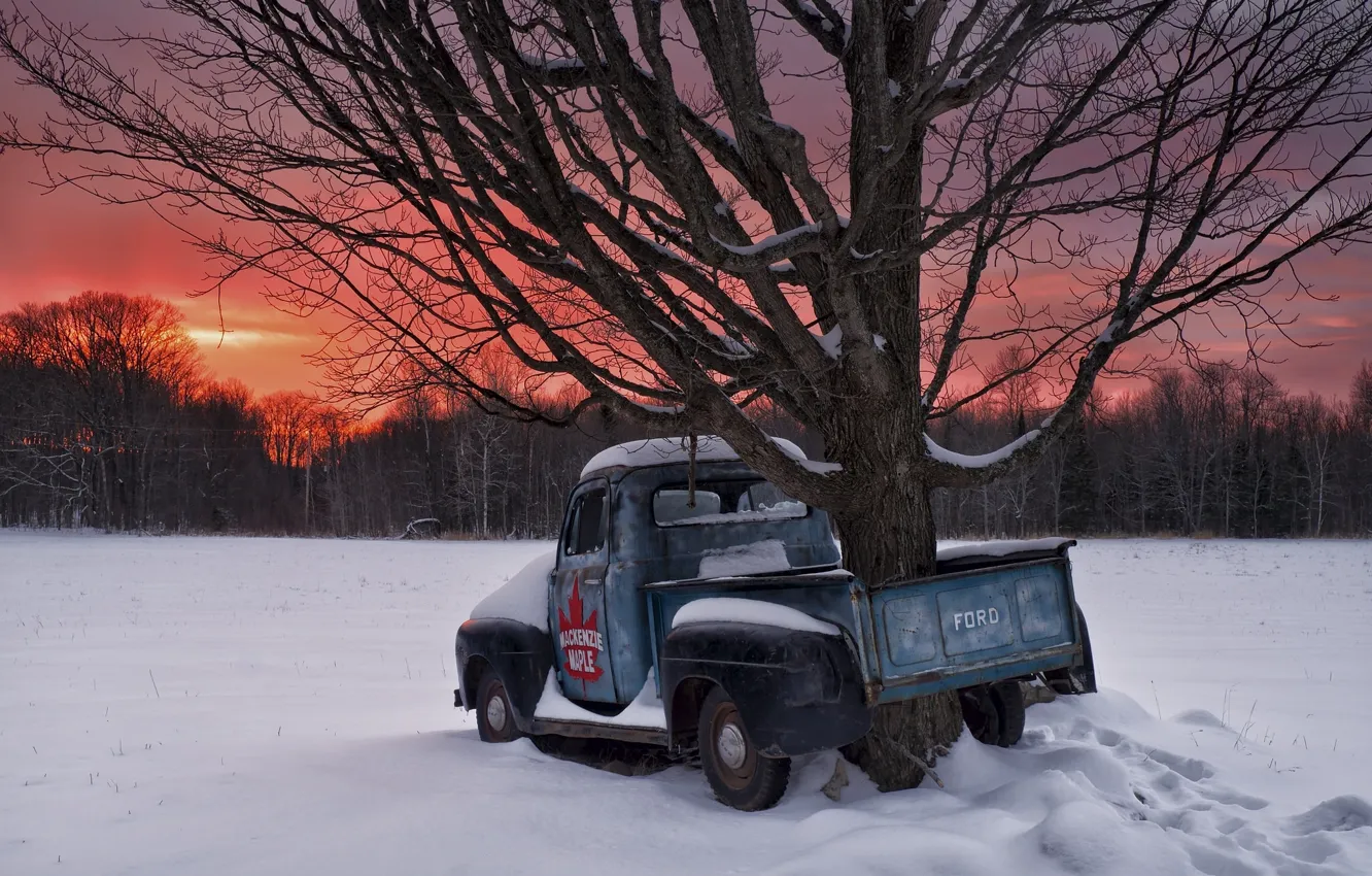 Photo wallpaper winter, snow, sunset, tree, Canada, Ontario, Canada, pickup