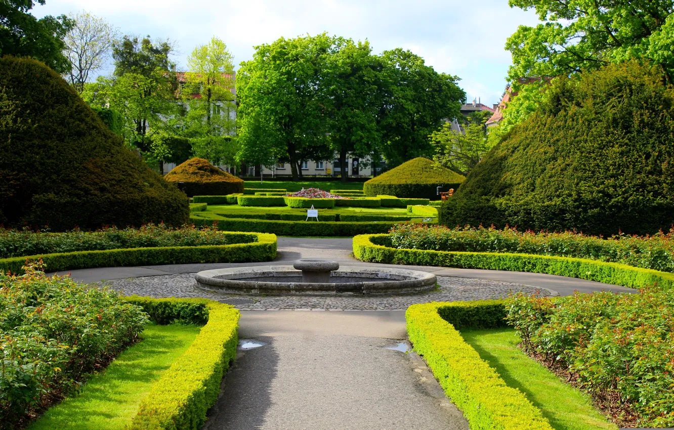 Photo wallpaper green, park, garden