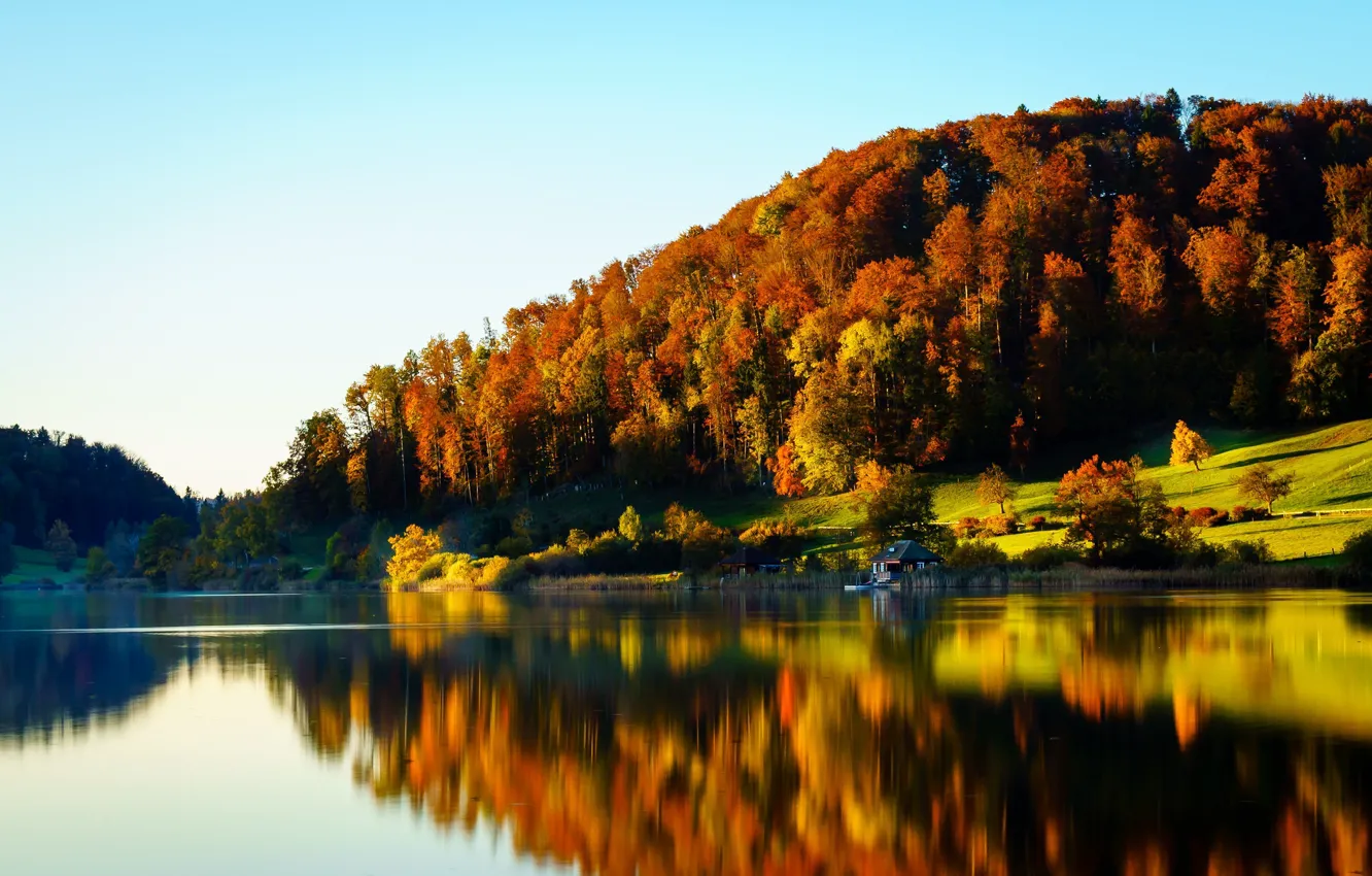 Photo wallpaper autumn, landscape, nature, river, yellow trees