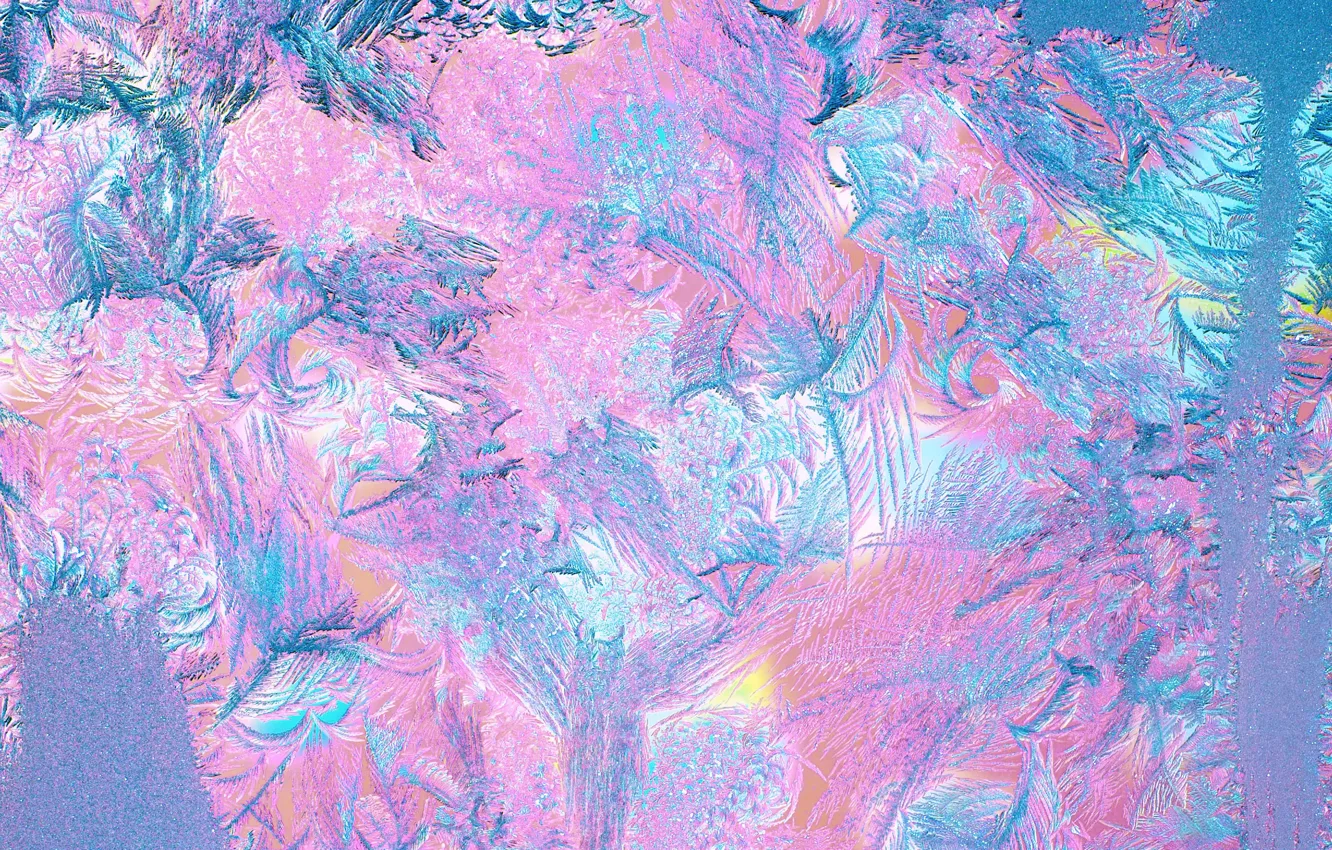 Photo wallpaper winter, nature, time of the year