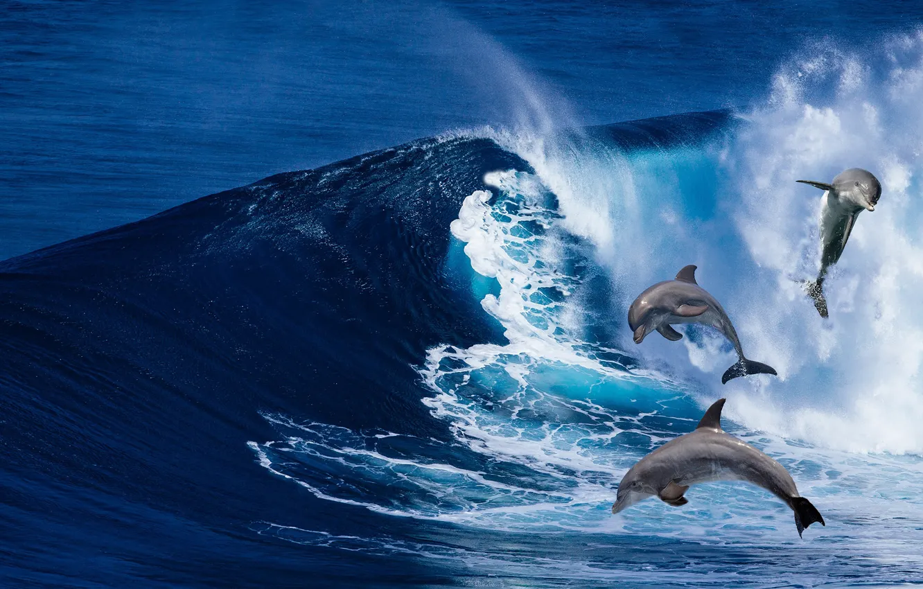 Photo wallpaper sea, wave, rendering, dolphins