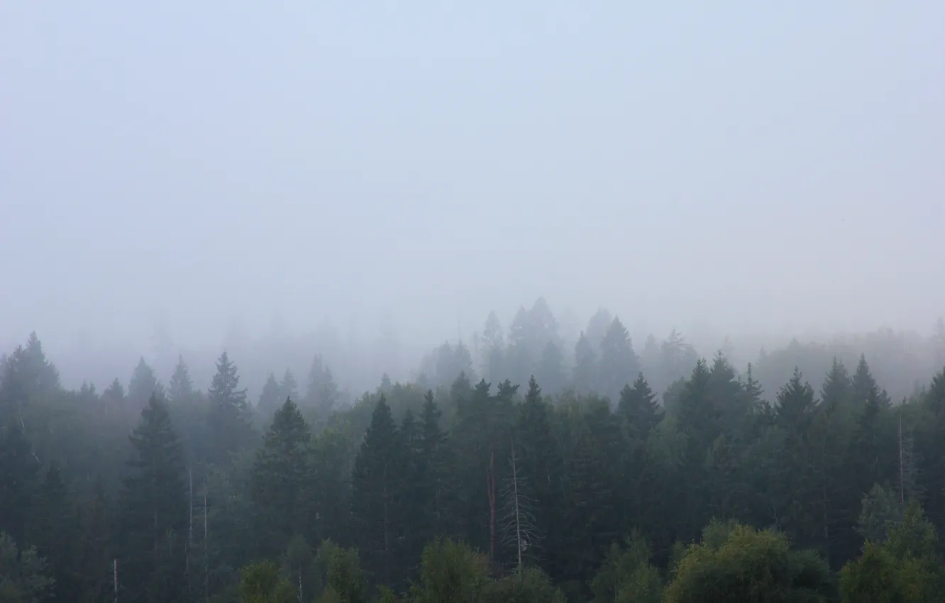 Photo wallpaper autumn, forest, fog, hills, view, morning, Russia, cottage