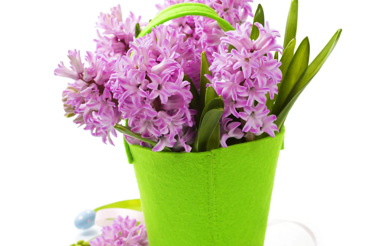 Photo wallpaper flowers, background, vase handbag, purple Hyacinths