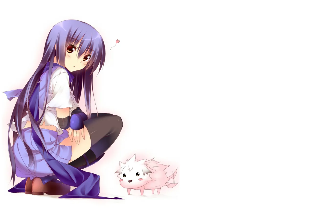 Photo wallpaper scarf, girl, puppy, white background, blush, sitting, long hair, black stockings