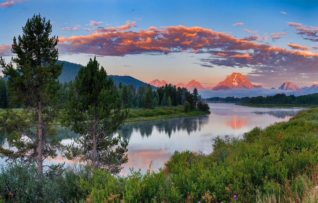 Photo wallpaper forest, grass, clouds, mountains, shore, tops, ate, USA