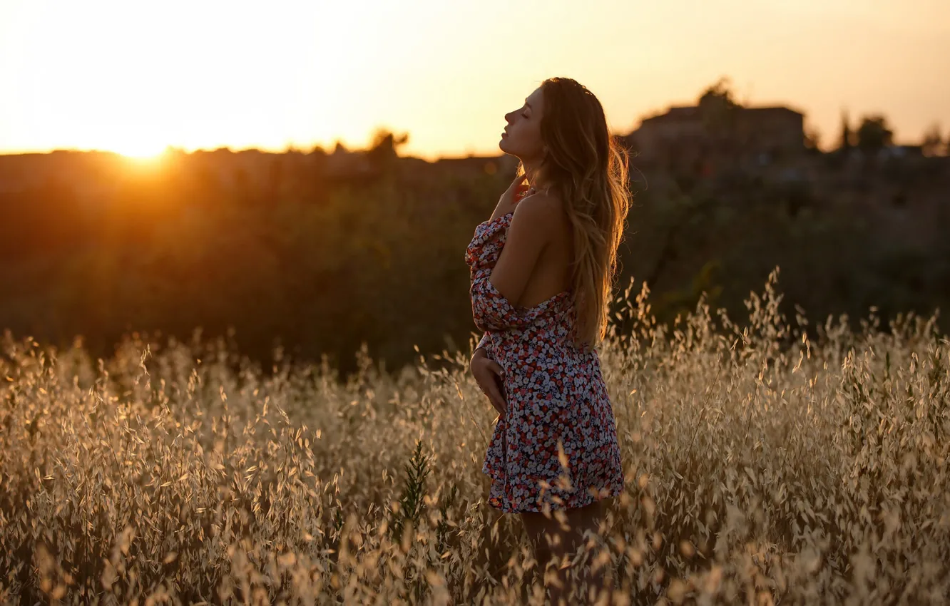 Photo wallpaper field, girl, silhouette, curls, EIKONAS, Memory Of Summer Sunsets