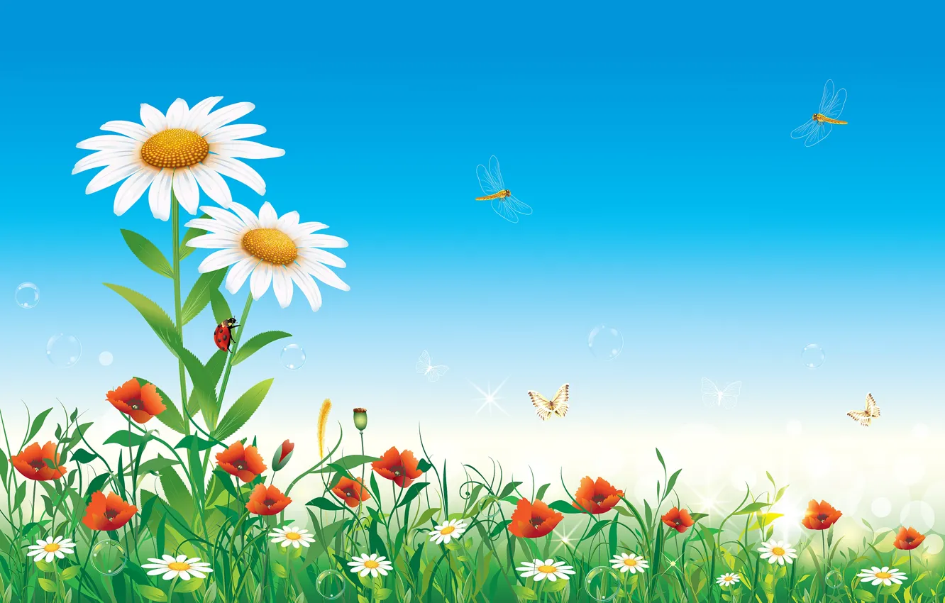 Photo wallpaper summer, the sky, flowers, insects, nature, chamomile, vector