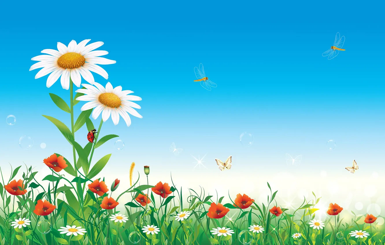 Photo wallpaper summer, the sky, flowers, nature, chamomile, vector, insect
