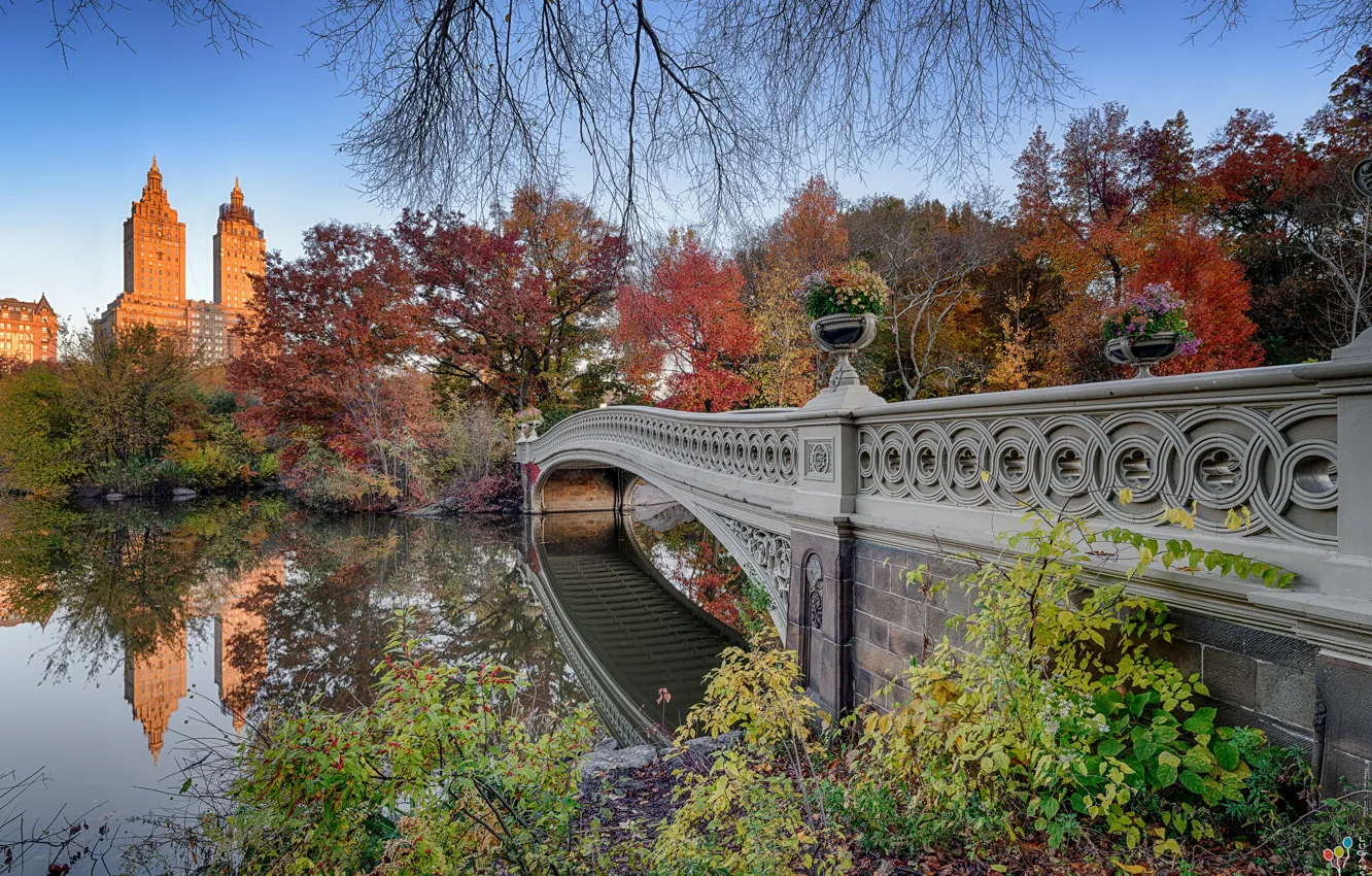 Photo wallpaper autumn, landscape, nature, the city, pond, Park, New York, USA