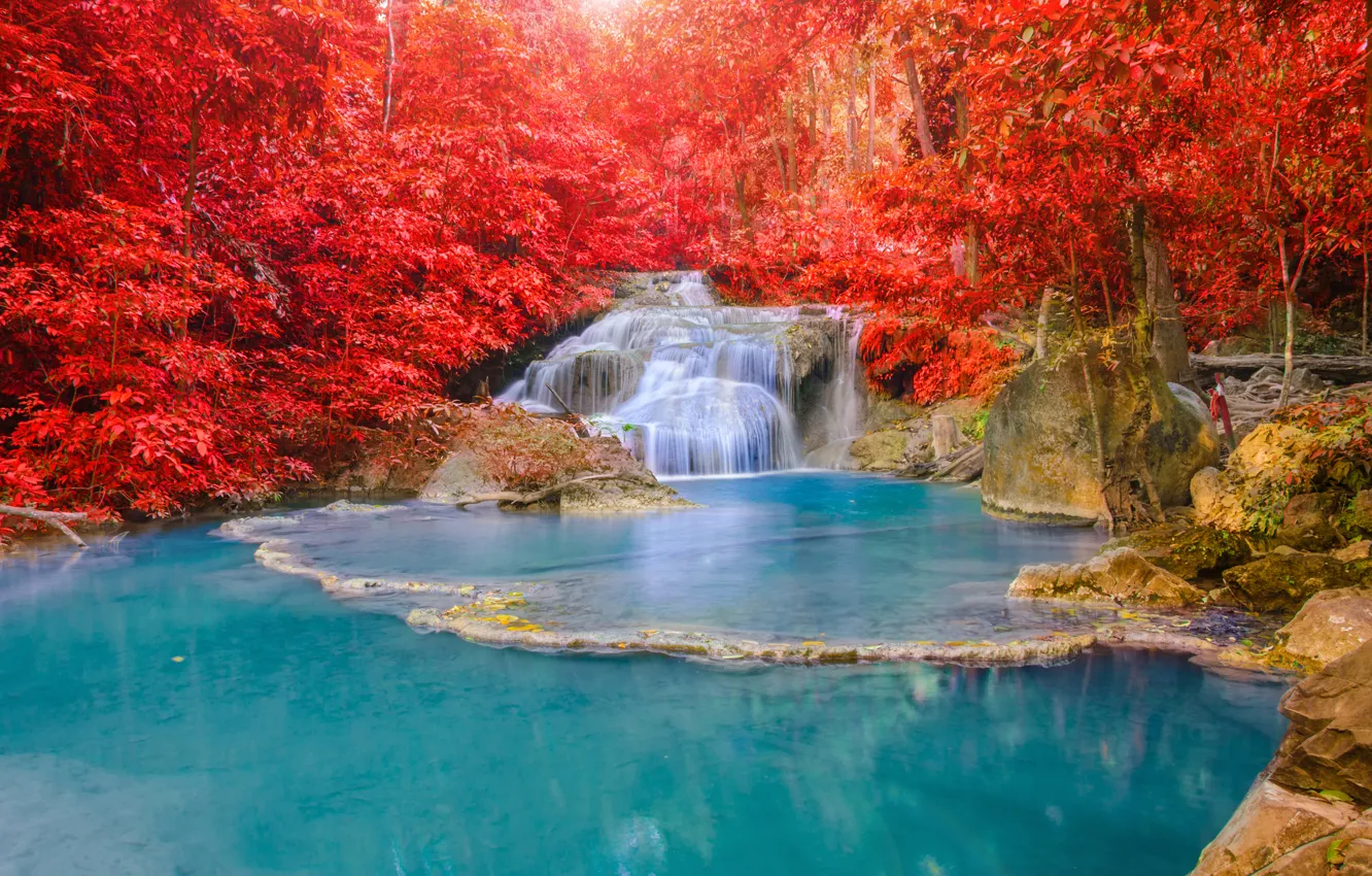 Photo wallpaper autumn, forest, landscape, waterfall, forest, nature, water, autumn