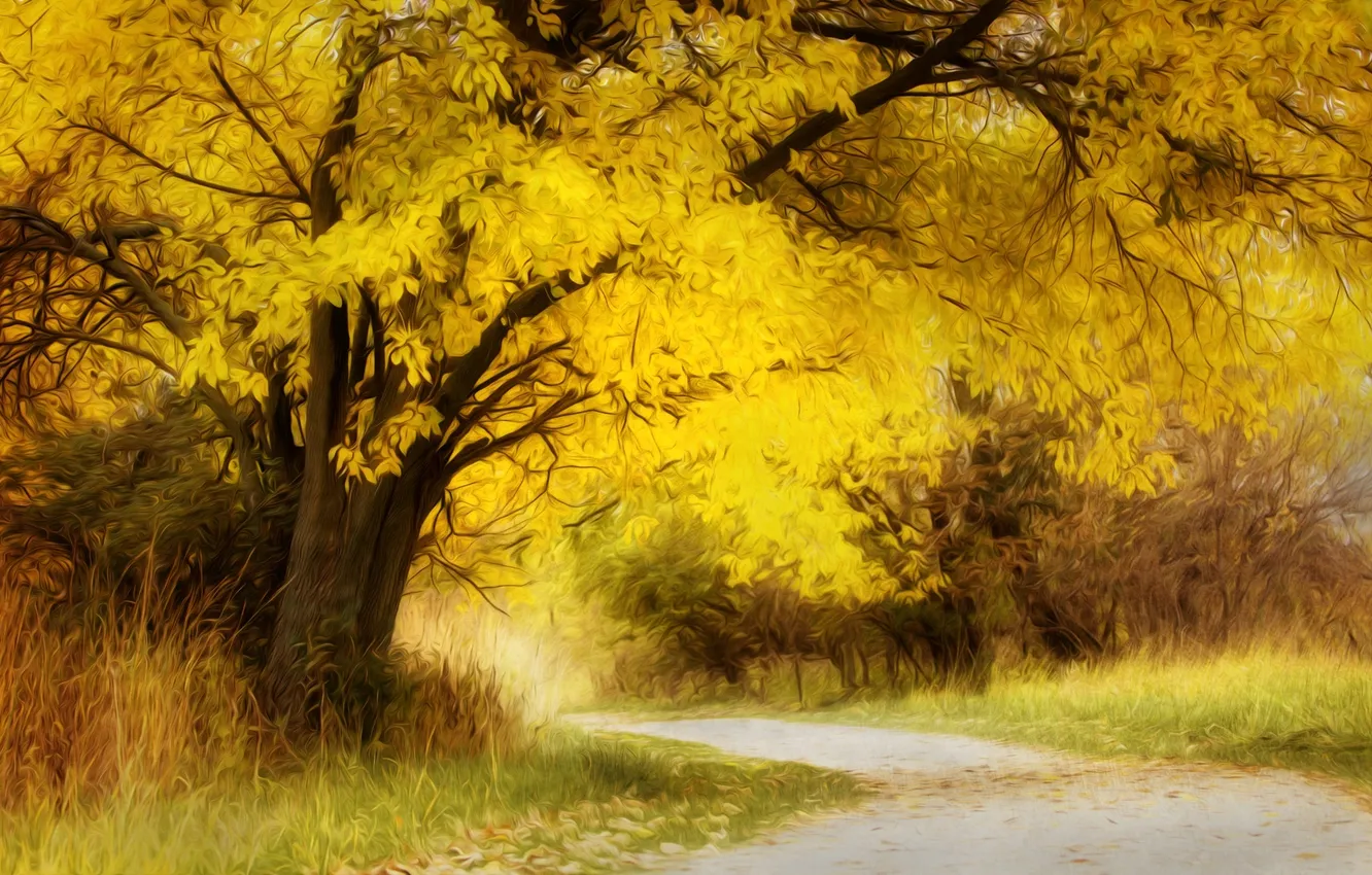 Photo wallpaper autumn, forest, trees, figure, art