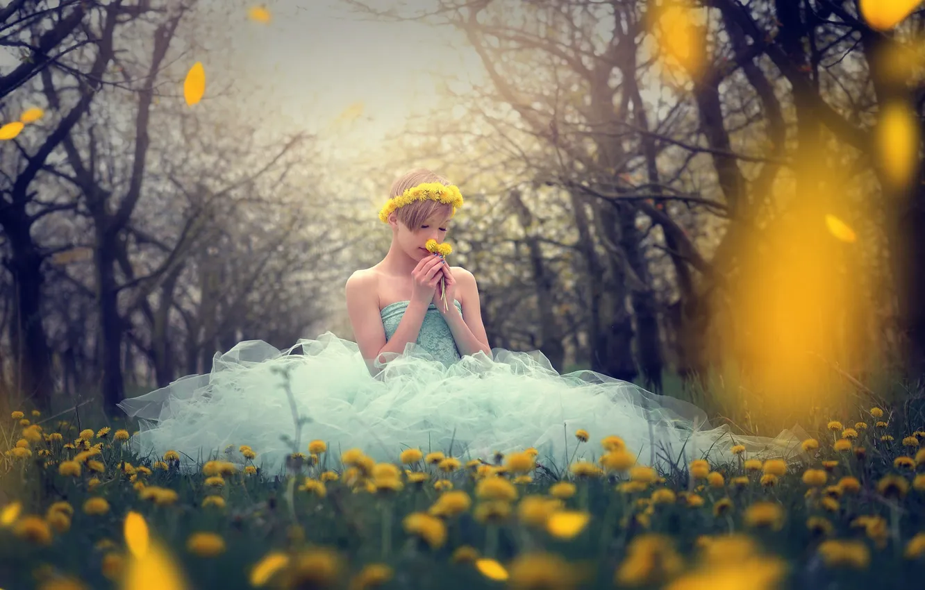 Photo wallpaper girl, dandelion, dress, wreath, Miss Froggi