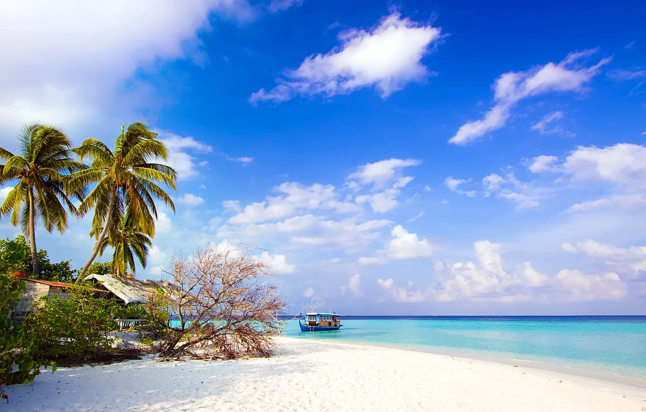 Photo wallpaper sand, sea, beach, the sky, clouds, palm trees, boat, island