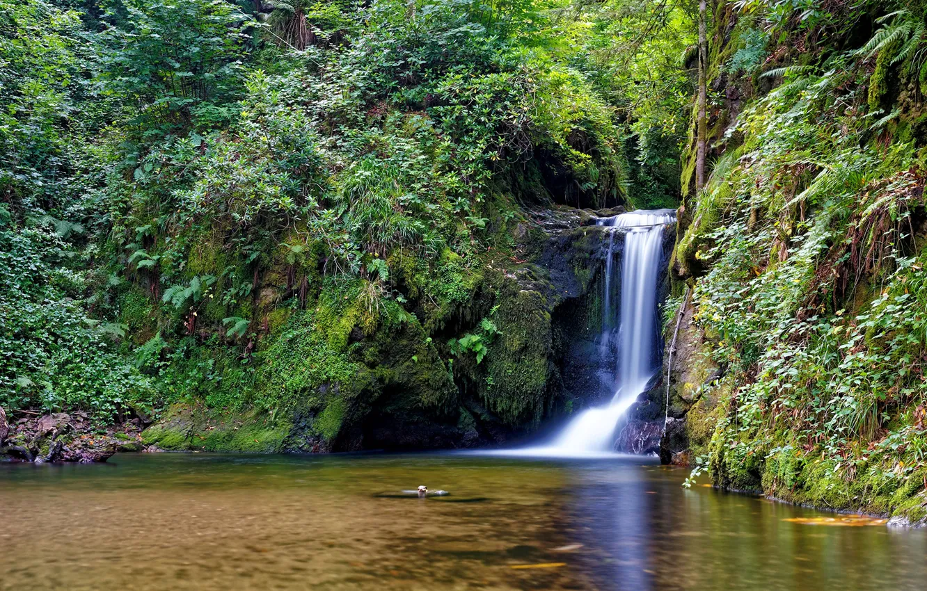 Photo wallpaper nature, rocks, waterfall, Germany, Geroldsau Waterfall