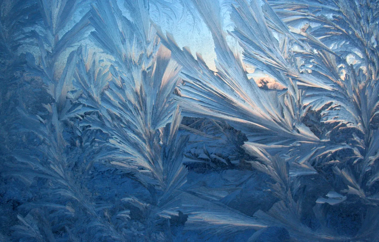 Photo wallpaper winter, frost, macro, frost, frost, Patterns on the window