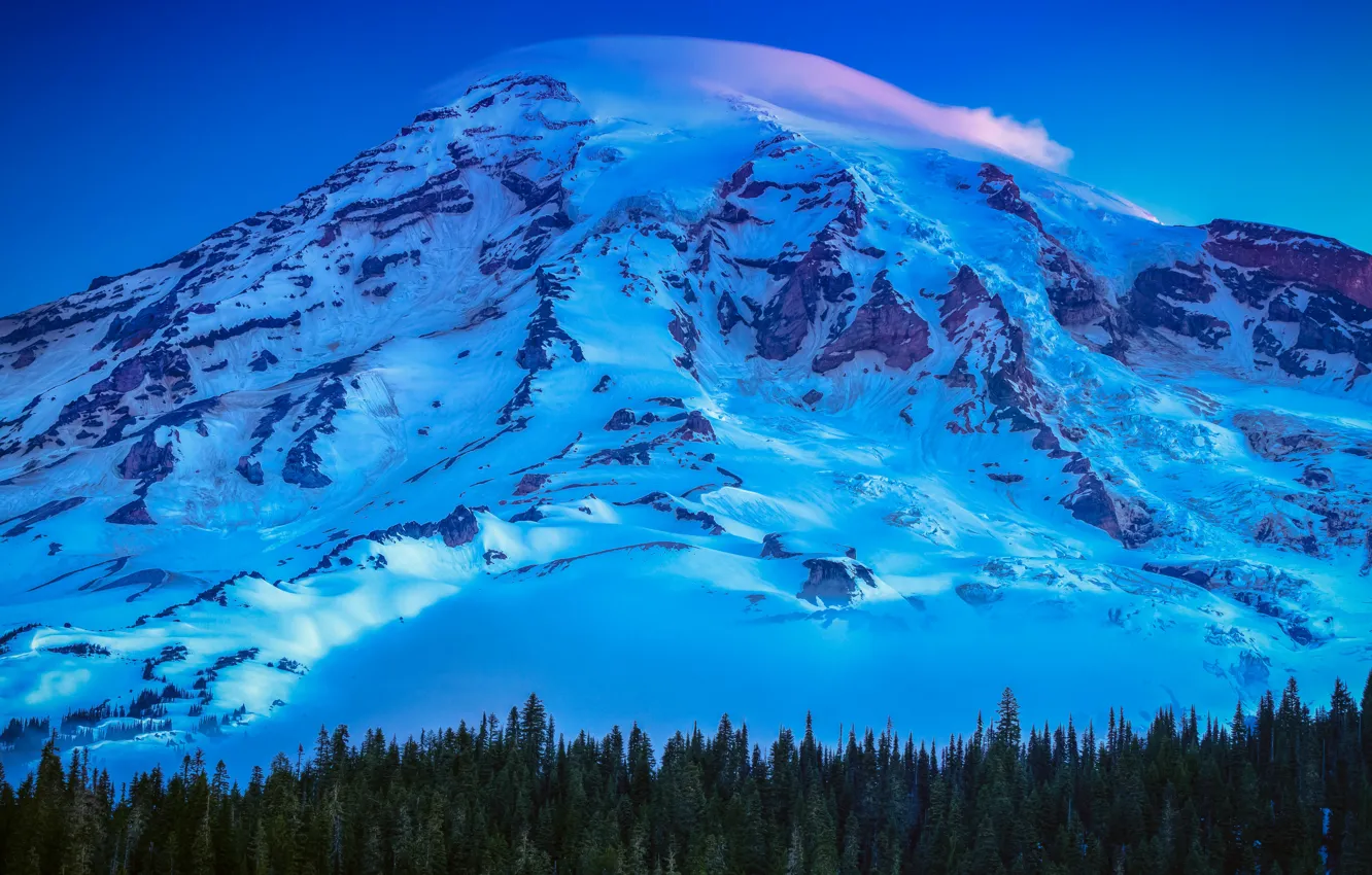 Photo wallpaper USA, United States, trees, mountain, snow, sunrise, Washington, Seattle