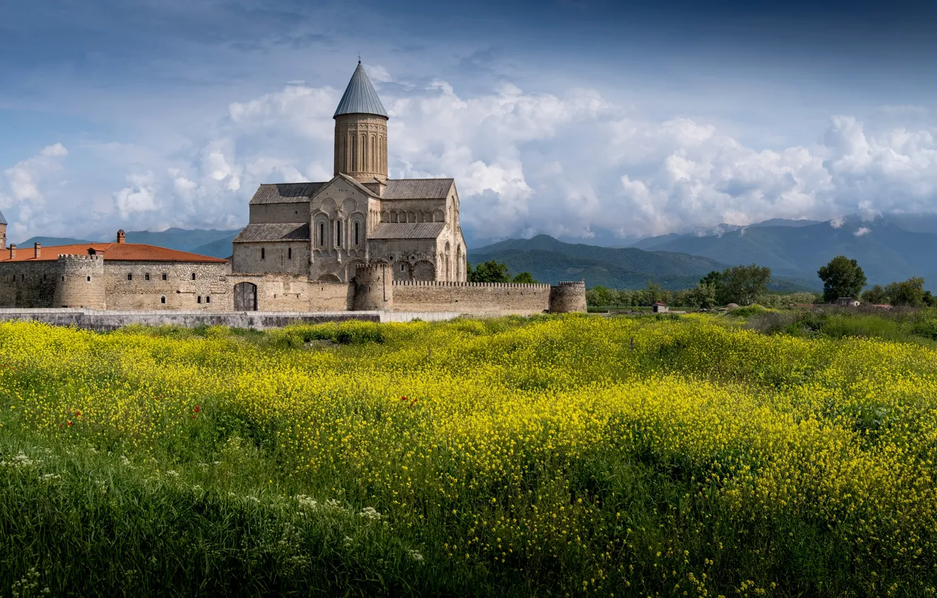 Photo wallpaper field, old, castle, fortress, rape, rapeseed field