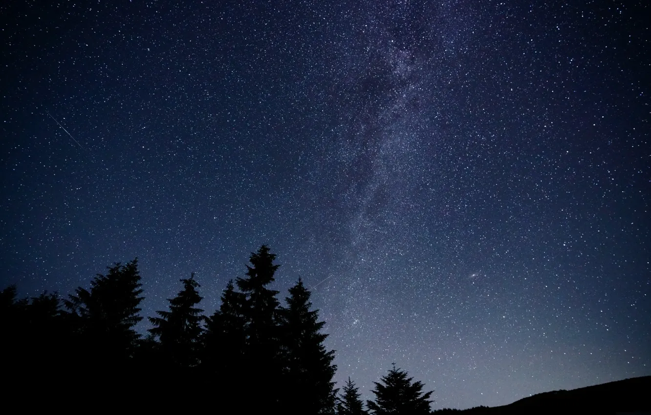 Photo wallpaper the sky, stars, trees, night, nature