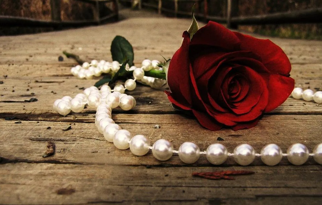 Photo wallpaper red, rose, romantic, pearls