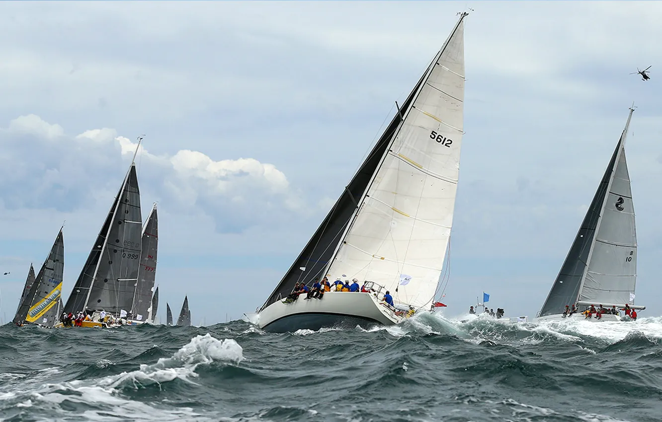 Photo wallpaper Australia, sail, regatta