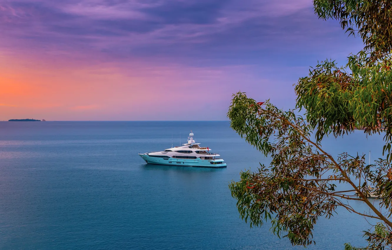 Photo wallpaper sea, sunset, branches, tree, France, yacht, horizon, France