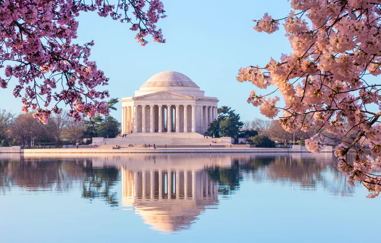 Photo wallpaper flowers, branches, reflection, building, spring, Sakura, rotunda, pond