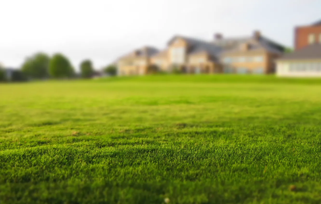 Photo wallpaper field, summer, grass, the city, blur, blur