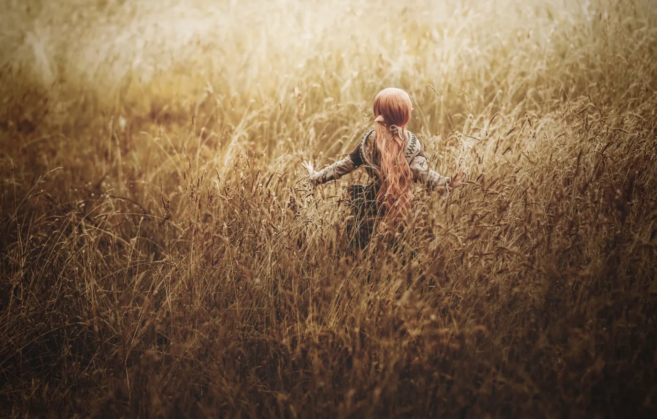 Photo wallpaper field, grass, doll