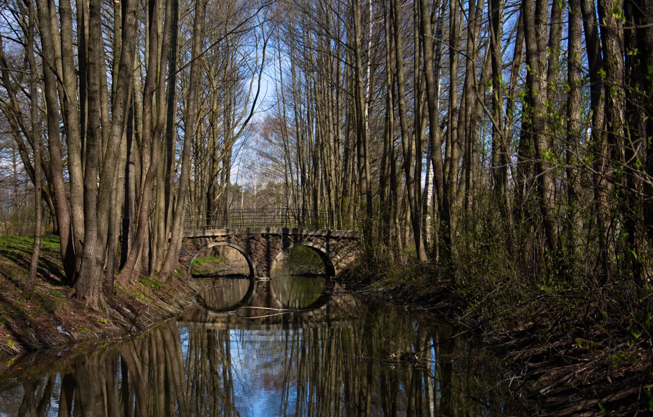 Photo wallpaper reflection, river, the bridge