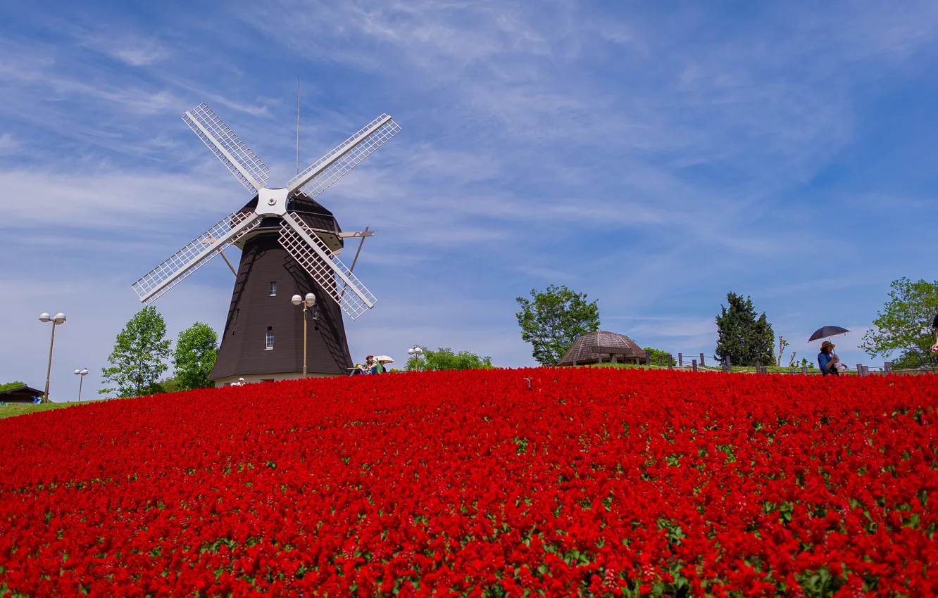 Photo wallpaper flowers, Park, Japan, mill, Japan, Osaka, Osaka, Tsurumi Ryokuchi Park