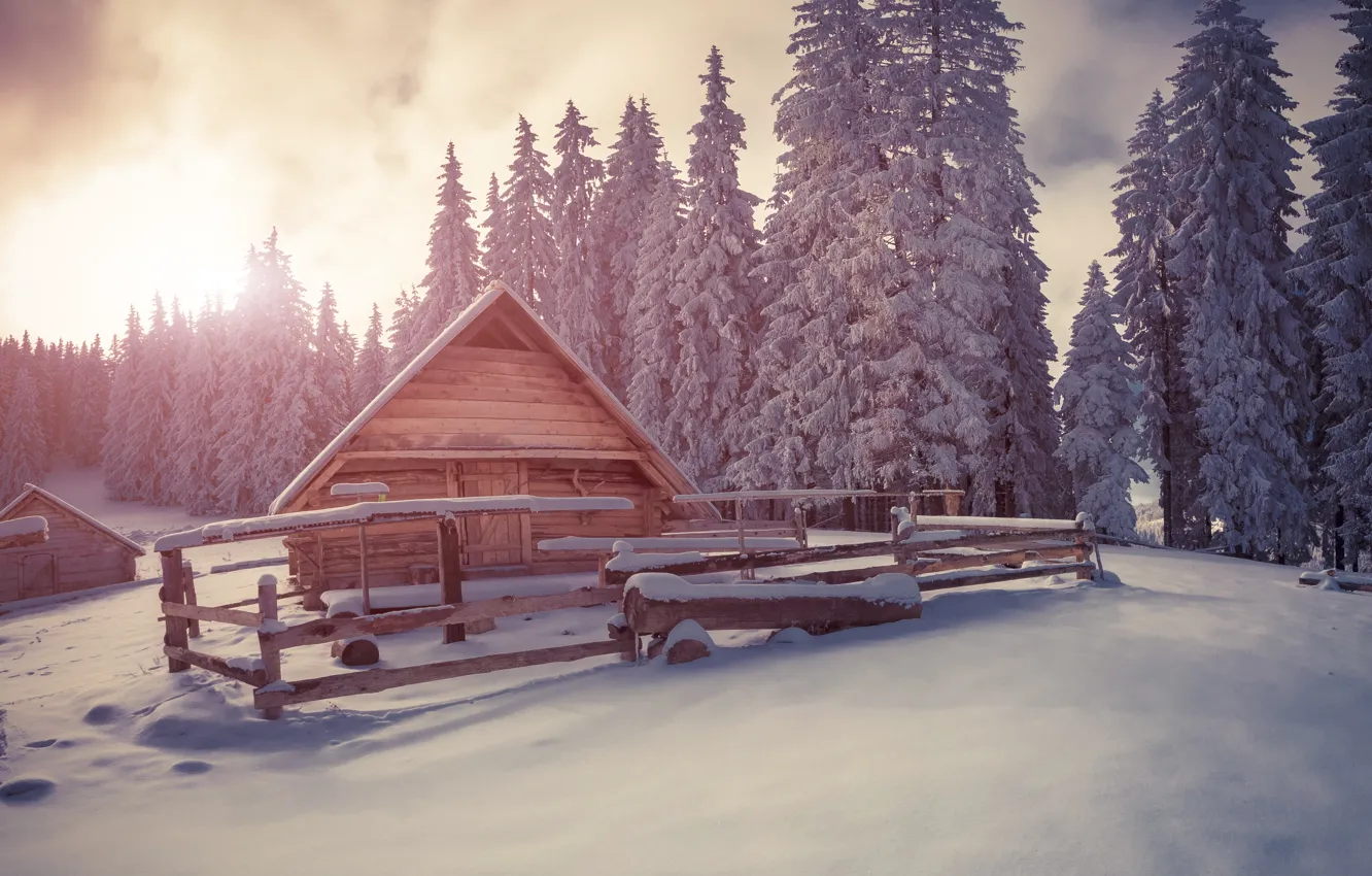 Photo wallpaper winter, snow, tree, village, hut, landscape, winter, snow