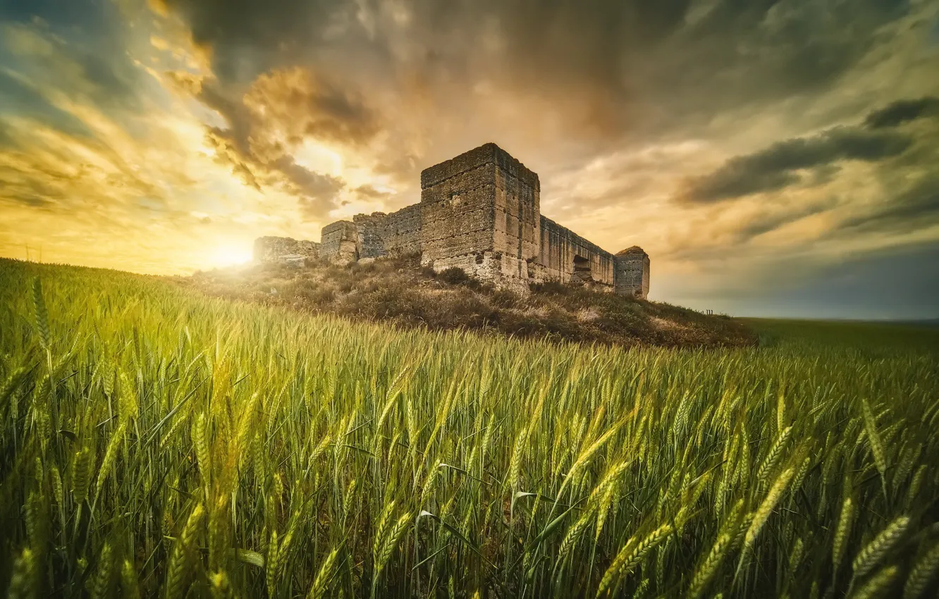 Photo wallpaper nature, morning, Seville, Alhonoz Castle