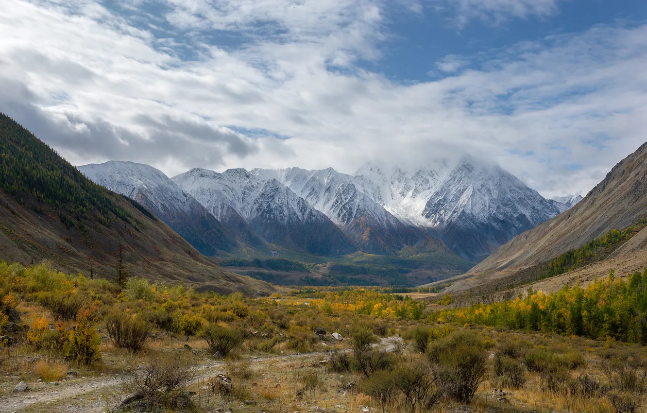 Photo wallpaper mountains, vegetation, valley, horizon, haze, Rustem Dikov