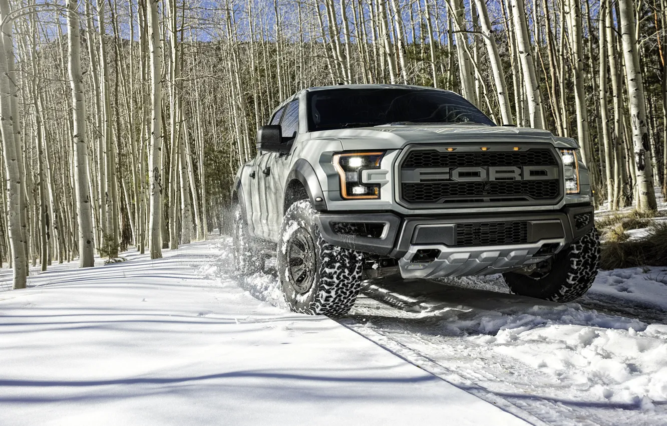 Photo wallpaper winter, snow, Ford, birch, Ford, Raptor, pickup, Raptor