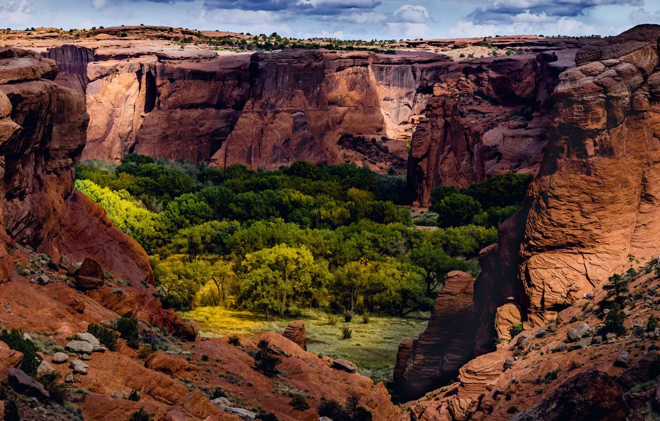 Photo wallpaper nature, AZ, gorge, USA, Canyon de Shay, Canyon De Sheyi