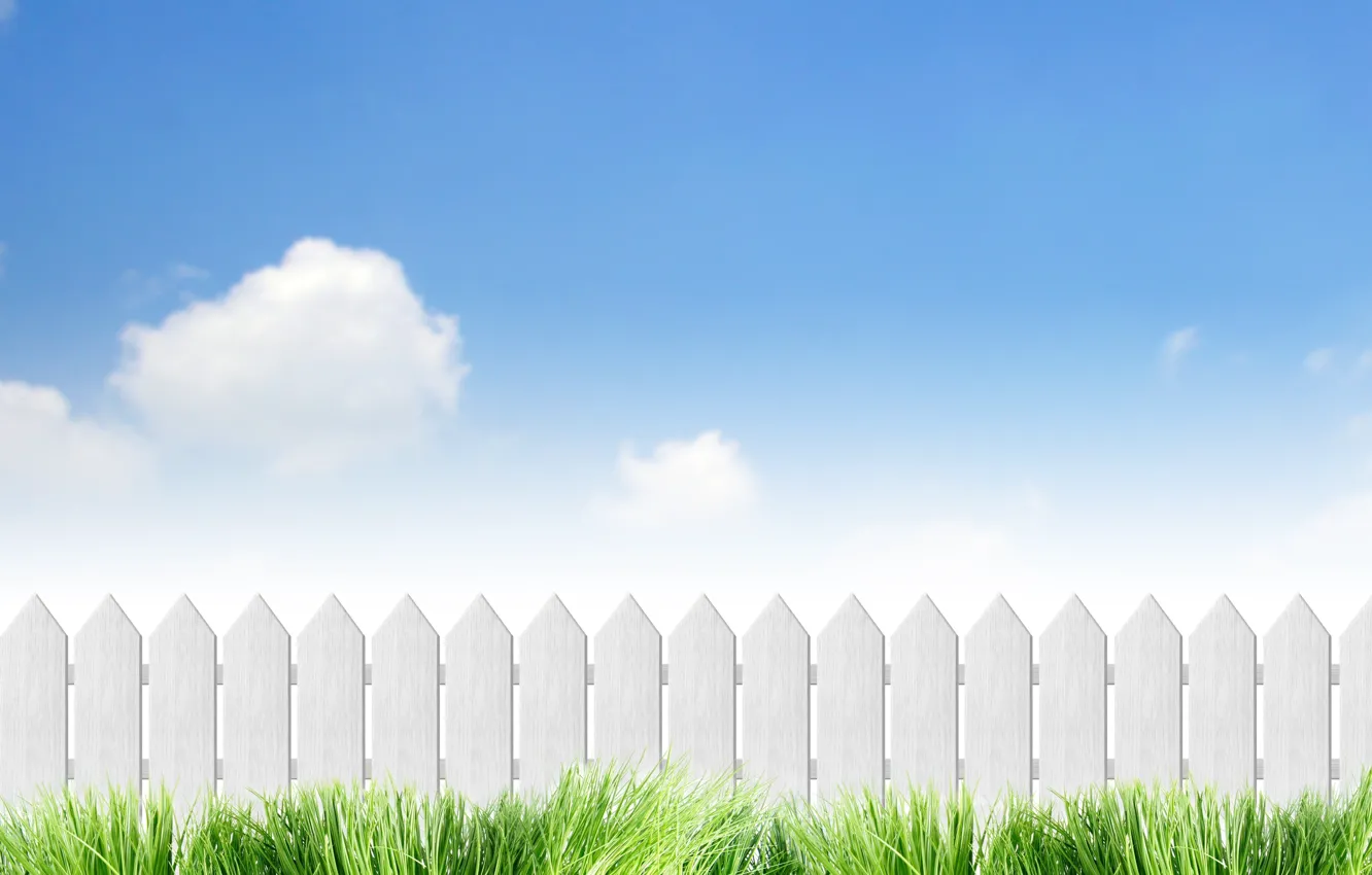 Photo wallpaper summer, the sky, grass, the fence