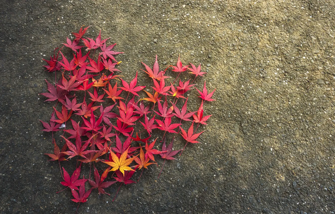 Photo wallpaper autumn, leaves, love, heart, love, heart, wood, background