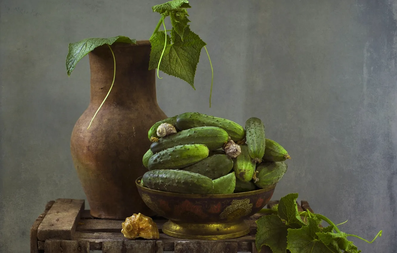 Photo wallpaper texture, shell, pitcher, still life, cucumbers, vegetable