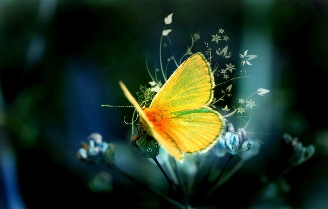 Photo wallpaper Butterfly, Pattern, Yellow
