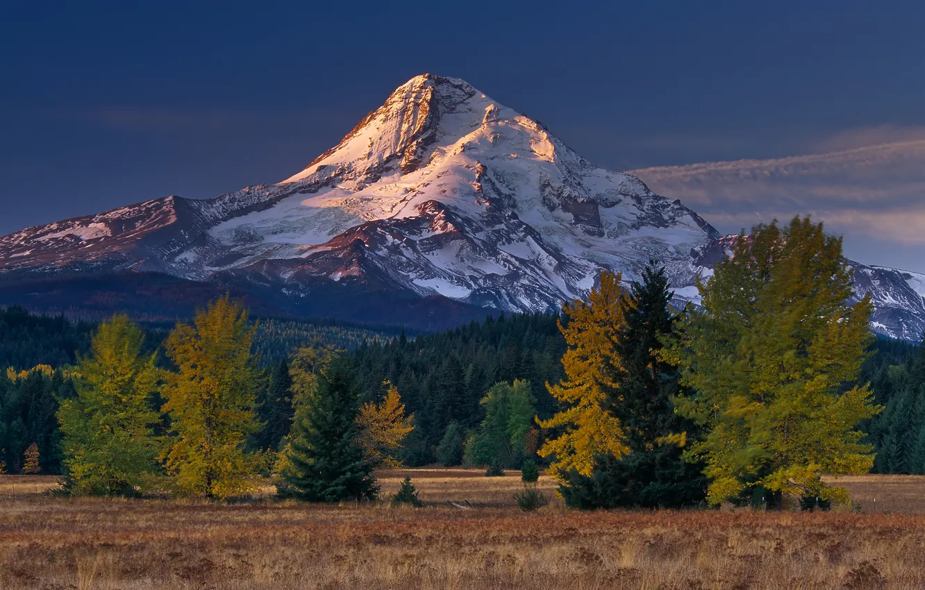 Photo wallpaper trees, landscape, mountains, nature, Wallpaper, wallpapers