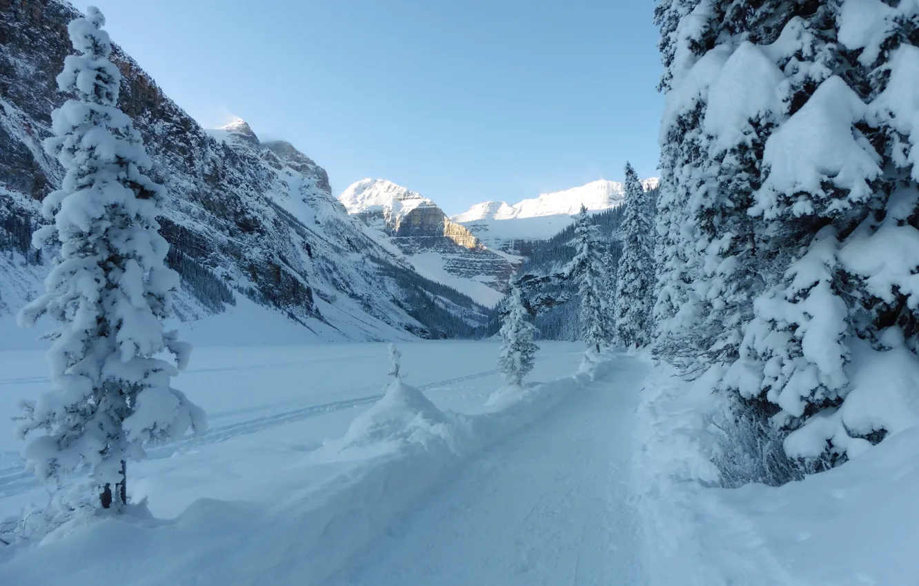 Photo wallpaper winter, road, snow, trees, mountains, ate, Canada, Albert