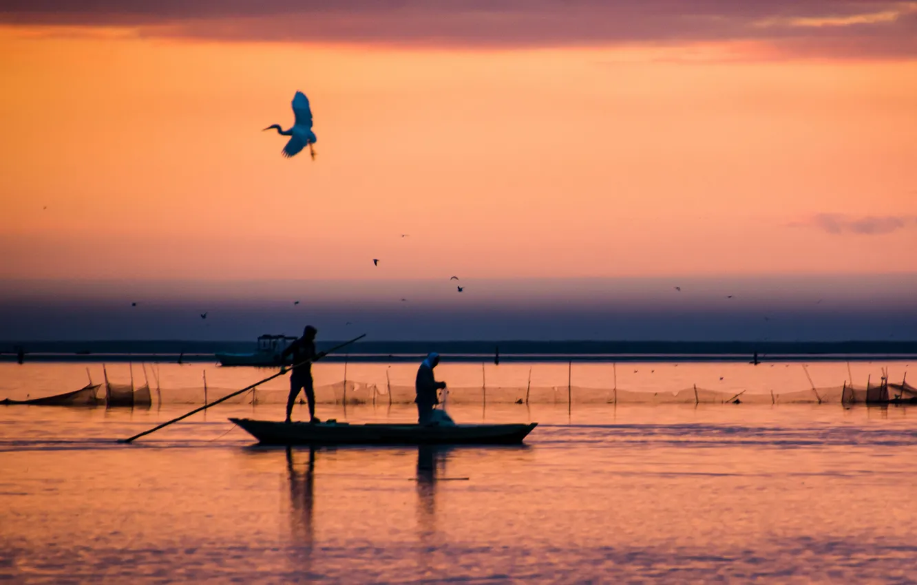 Photo wallpaper wallpaper, Brelus Egypt, Tarek El Magrabe