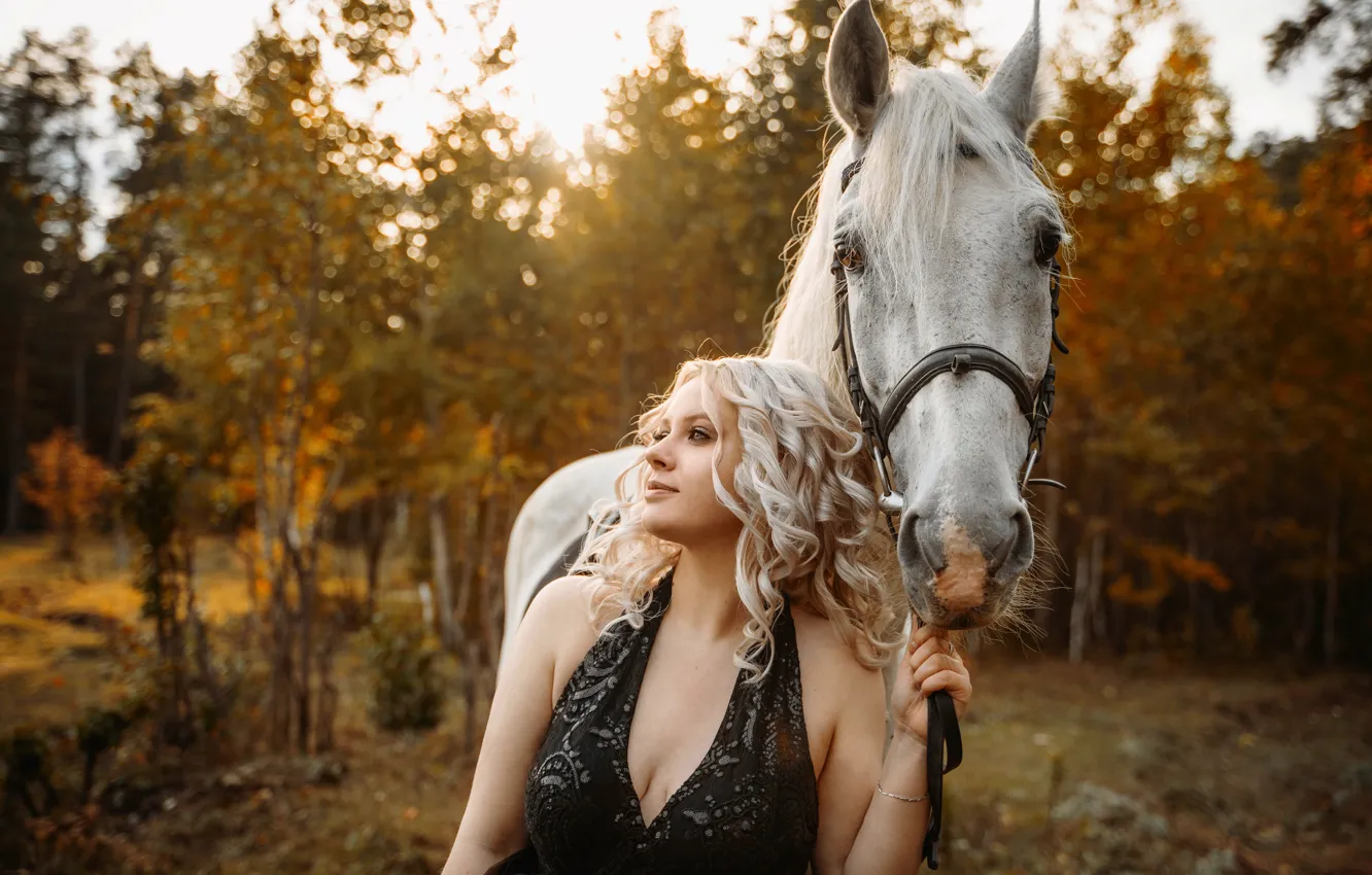 Photo wallpaper autumn, girl, sunset, dress, falling leaves, white horse, solace
